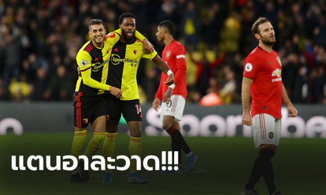 แตนอาละวาด แตนอาละวาด