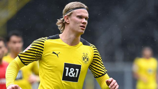 4 ฮาแลนด์